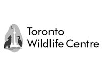 Toronto Wildlife Centre